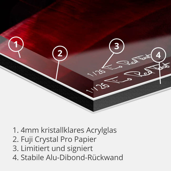 steadfast-Timo RedForest-RedForest Fineart