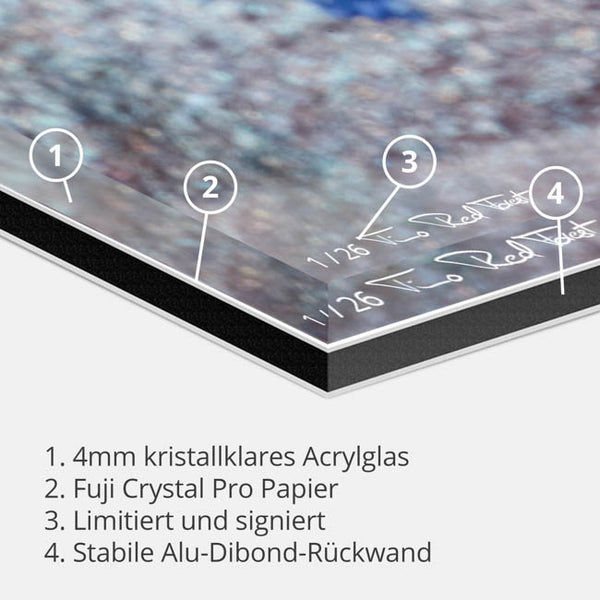 teardrop-Timo RedForest-RedForest Fineart