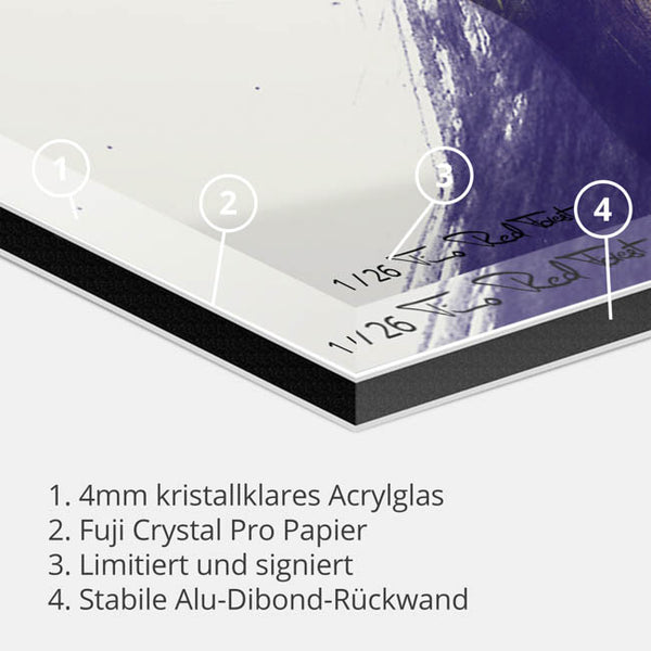 Wednesday-Timo RedForest-RedForest Fineart