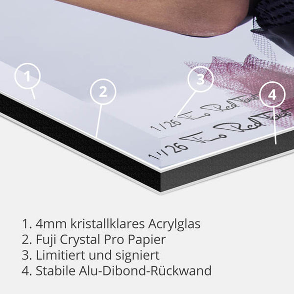 Hengstin IV-Timo RedForest-RedForest Fineart
