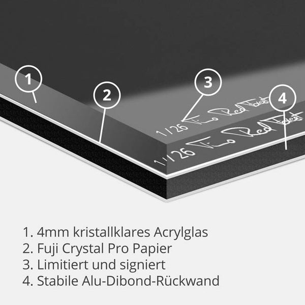 Zoey-RedForest-RedForest Fineart
