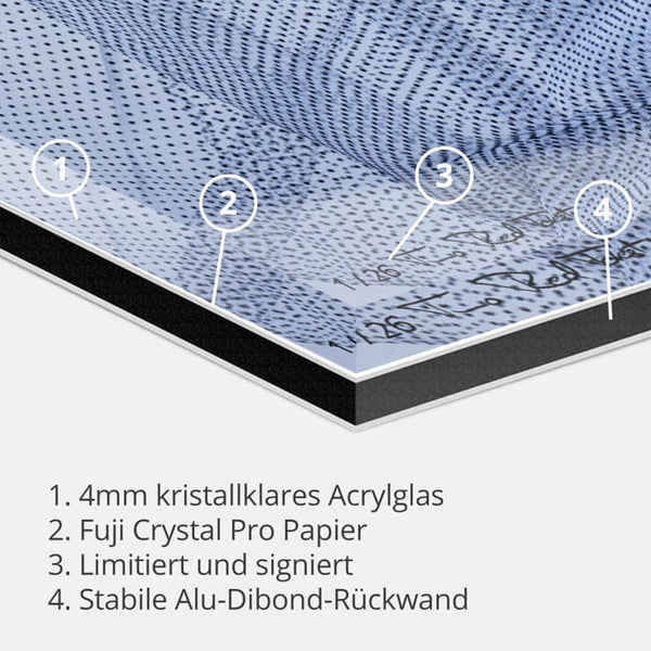 Hengstin I-Timo RedForest-RedForest Fineart