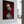 Ida-Timo RedForest-RedForest Fineart